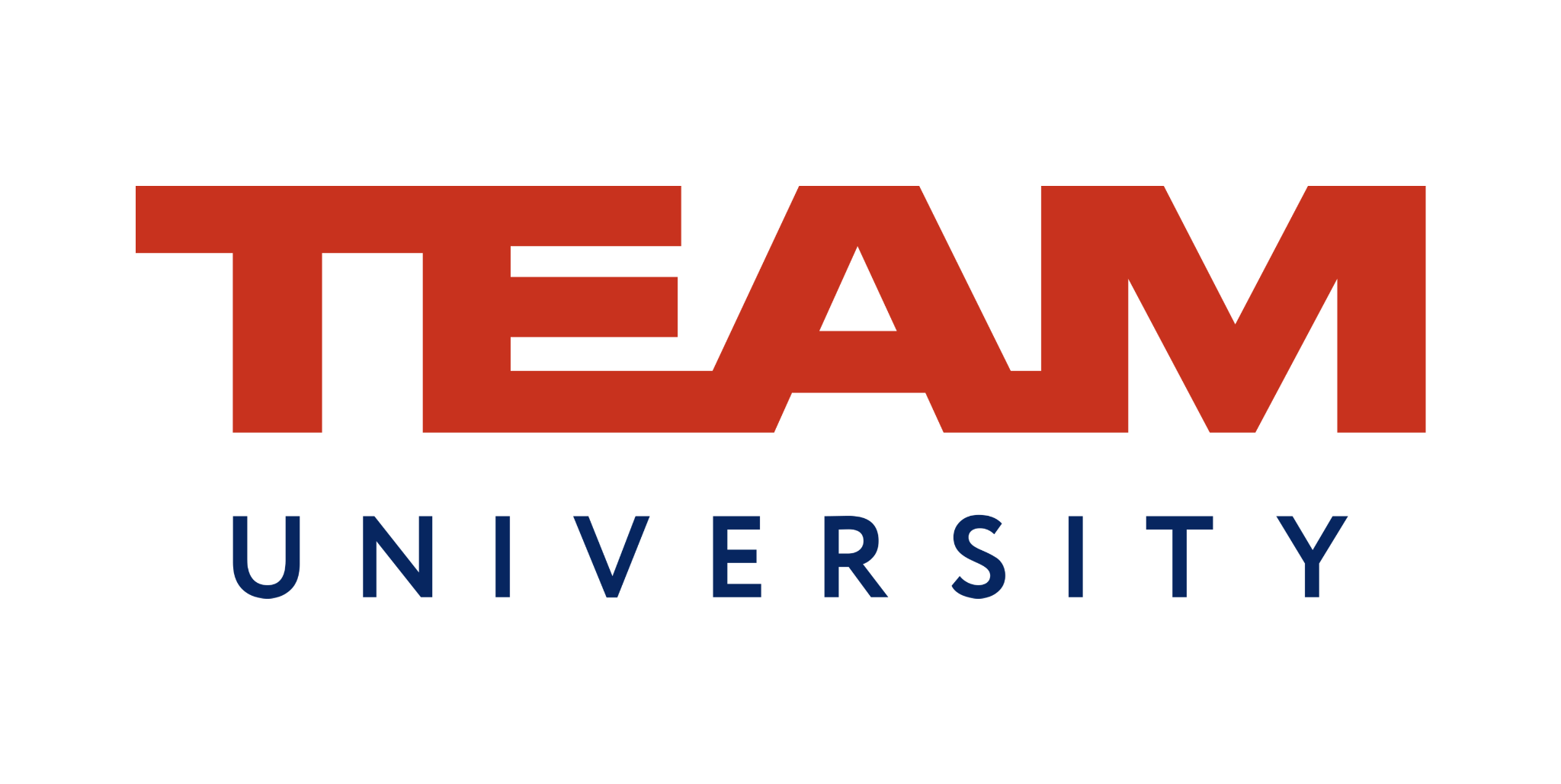 TEAM universiteti