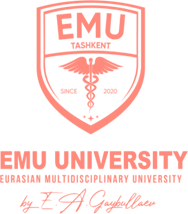 EMU universiteti
